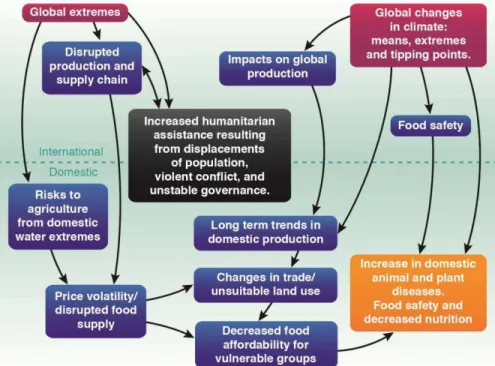 Figure 1. Risks derived from an analysis of international and domestic dimensions of  climate change, based on  4  and  12  Blue indicates food system processes; orange indicates 