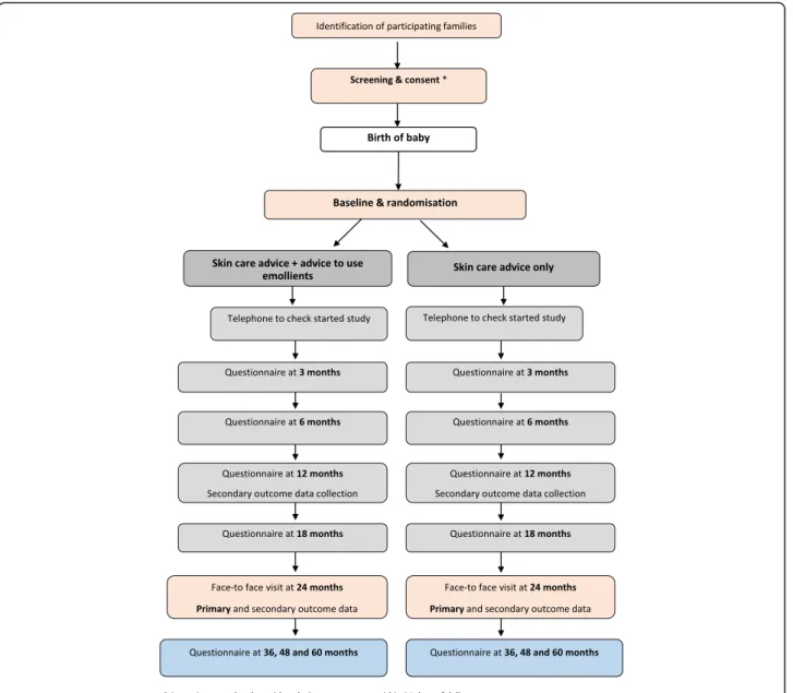 Fig. 2 Flowchart indicating participant flow through the trial