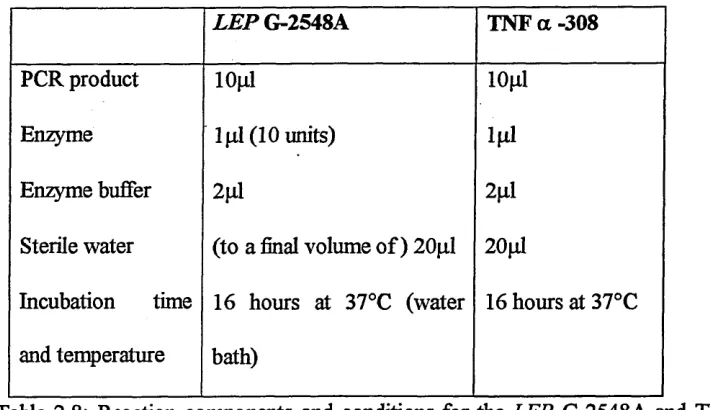 Table 2.8: Reaction components and conditions for the LEP G-2548A and TNF a  - 308 restriction digests.