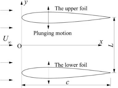 Figure 1. Schematic of the physical model of dual-flapping foil. 