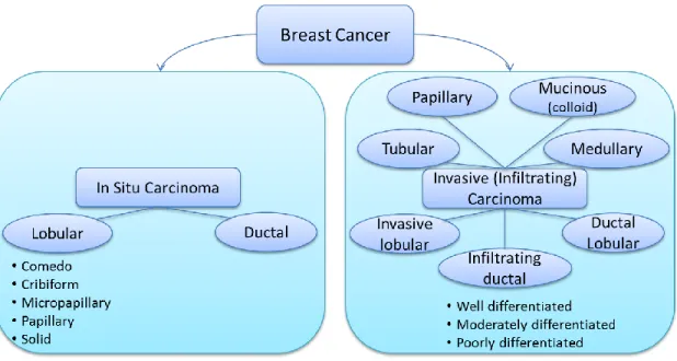 Figure 1: Histological classification of breast cancer subtypes based on architectural  features and growth patterns