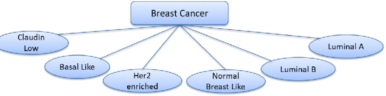 Figure 2: Molecular classification of breast cancer (Malhotra et al., 2010)