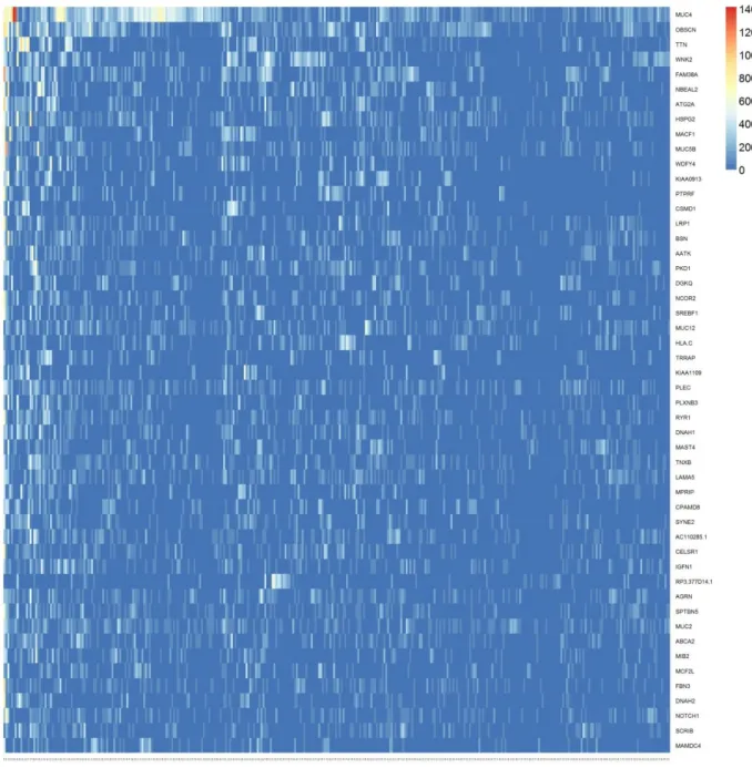 Figure 5: Input matrix with C-scores of the top 50 variant genes. Columns represent  patients (358) and rows represent genes.