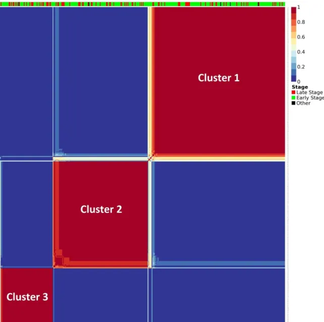 Figure 8: Consensus matrix, 358x358 in size and illustrating the stability of the  clustering