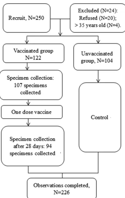 FIG 1 Flow chart of the cohort study on safety of the inﬂuenza A(H1N1)vaccine in pregnant Chinese women.