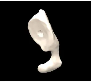 Figure 3-9 A combination of directional, ambient and point light for the scapula ‎