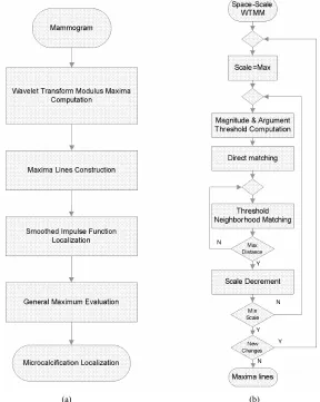 Figure 2. General Maximum detectionam (a) and maxima line construction block diagram (b)