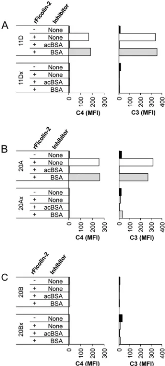 FIG 5 Complement deposition using C1q-depleted sera supplemented withrFicolin-2 lysine-57 mutants