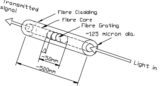 Figure 1 Schematic diagram of the LPG fibre sensor  