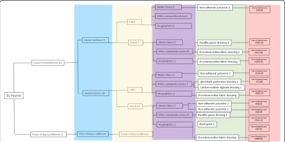 Fig. 3 Decision tree for all injuries: occurrence, where and how treated by whom, with associated costs