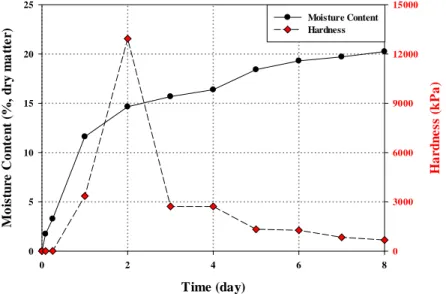 Figure 11. Moisture uptake and hardness change of PVP as a function of time at (a) 25 °C and (b) 45 °C 