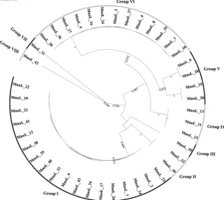 Figure 1. Phylogenetic analysis of reverse transcriptases from mulberry LINE retrotrans-MEGA6