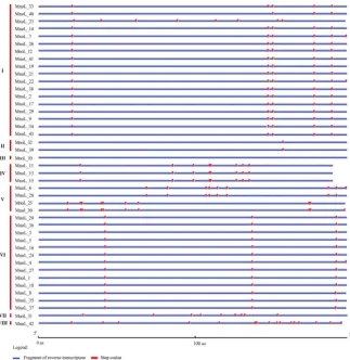 Figure 2. Premature stop codon positions in reverse transcriptase sequences from mul-