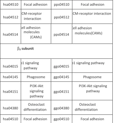 table get the results that pathways related with integrin 