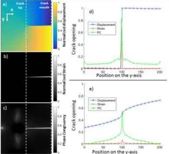 Figure 2 - (a) Normalized theoretical displacement field associated with a cracked plate (b) 