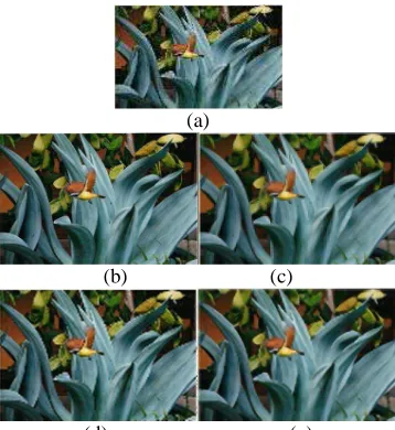 Figure 2.8: 3X magnification of the bird image: (a) input low-resolution image; (b) true high-resolution image; (d)                                   (e) (c) median filtering; (d) cubic spline interpolation; (e) Neighbor Embedding method [9]