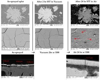 Figure 8. As-sprayed splat  exposed for 2 hr in Vac  exposed for 24 hr @ 1100 C in air