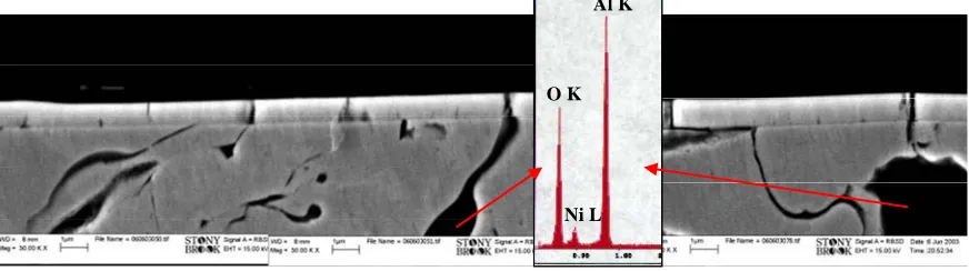 Figure 11. Microcracks coinciding with oxide points. 