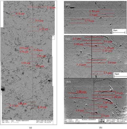 Figure 2. (a) Composite image of FC YSZ coating at 5000×; (b) Composite image of HOSP YSZ coating (b1) and (b2) at 5000×, (b3) at 10,000×