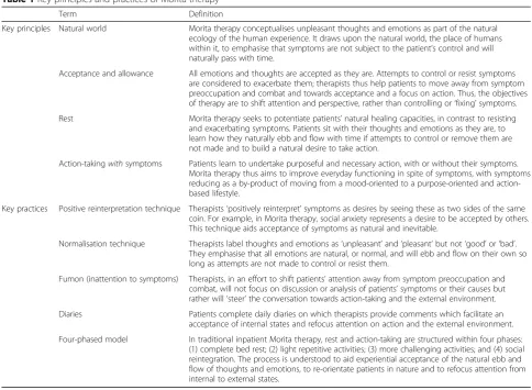 Table 1 Key principles and practices of Morita therapy