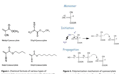 Figure ii. Polymerization mechanism of cyanoacrylate monomers via the anionic pathway