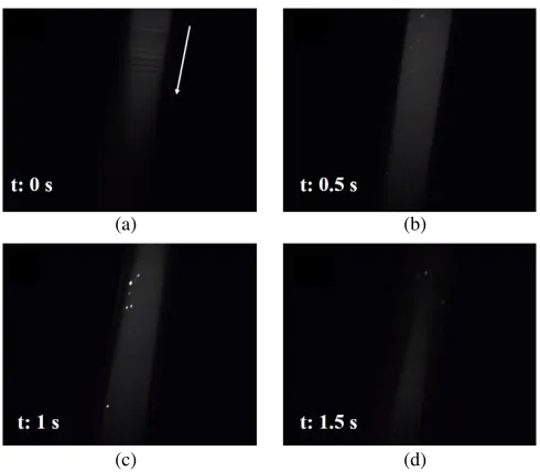 Figure 4. The imaging results for a capillary with a ﬂowing ﬂuorescent solution (rhodamine).
