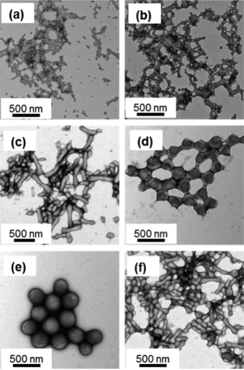 Figure 1. TEM images obtained for PMAAPHBMAPHBMAsimply the result of56−PHBMAy diblockcopolymer nanoparticles prepared at 20% w/w solids via RAFTaqueous emulsion polymerization at 70 °C