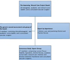 Figure 1 Groups involved in the development of the Generic Wound Assessment MDS     