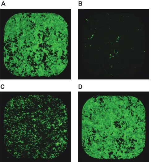 FIG 2 Measurement of binary toxin cytotoxicity of Vero cells in a 384-wellplate using an ImageXpress Velos scanning cytometer