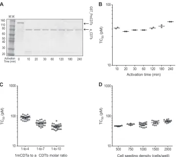 FIG 3 Optimization of the binary toxin cytotoxicity assay. (A) SDS-PAGE gel of GST_ProCDTb treated with immobilized chymotrypsin for different times from
