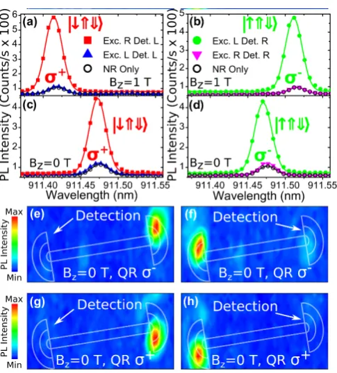 FIG. 2.(color online).outline of the waveguide and couplers are overlaid. The ap-parent rotation of the device from horizontal is due to a smallﬁltered at the QD wavelength atthe device whilst keeping detection ﬁxed at the (e) left and(f) right coupler