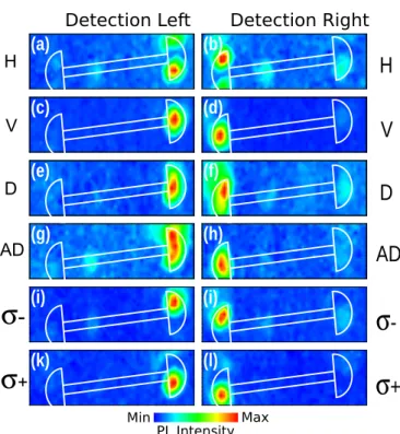 FIG. S7. (left column) Excitation maps over the right grat- grat-ing coupler when collectgrat-ing PL emission from the left gratgrat-ing coupler for a range of laser polarizations