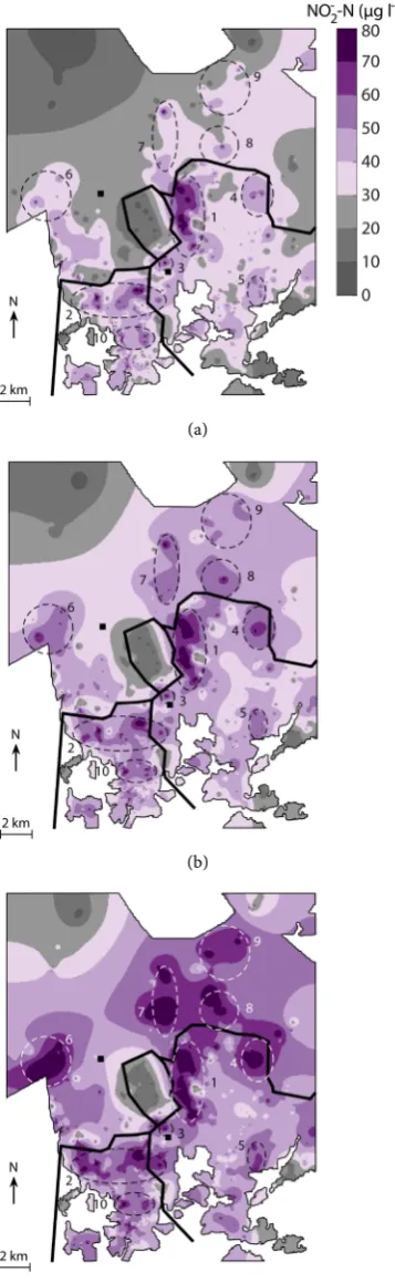 Figure 2. The (a) minimum, (b) median, and (c) maximum of nitrite concentrations in The borders of the main distribution areas are shown by thick lines