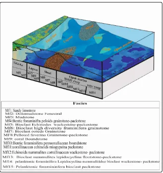 Figure 10. Conceptual depositional model of the Asmari Formation in Shekh Makan sec-tion located at Lurestan Basin