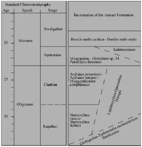 Figure 5. Biozonation of Asmari [6].