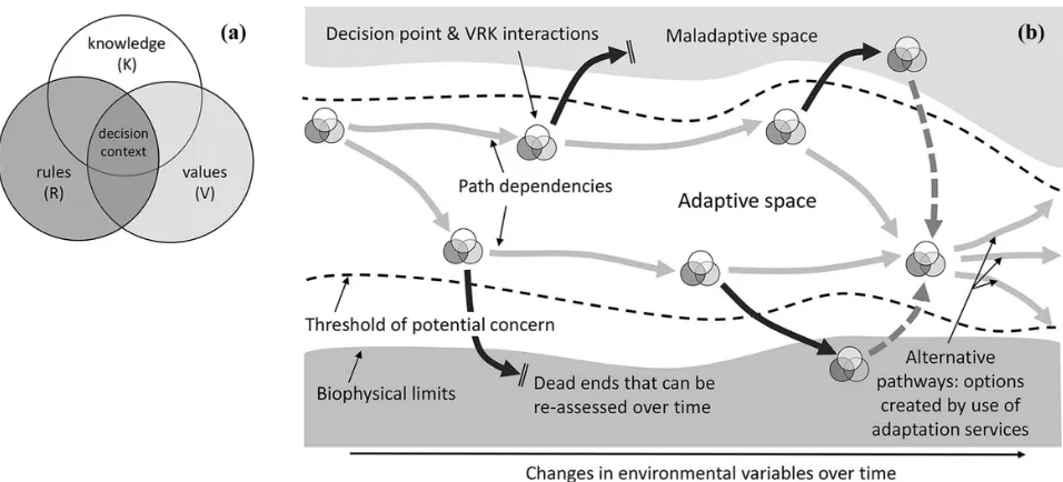 Figure 1. (a) Linkages between the values, knowledge, and rules concept (VRK) and (b) an adaptation pathwayincorporating VRK and the use and future-option value of adaptation services.