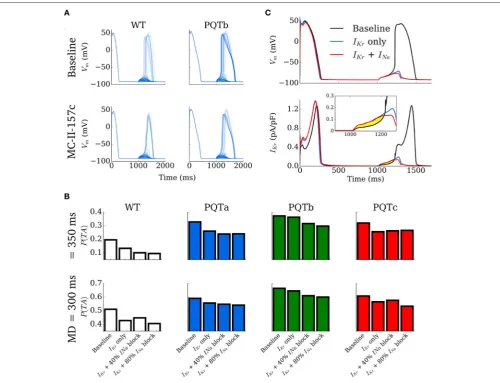 FIGURE 7 | Development of triggered action potentials in single cell. (A) 100 Action Potential traces for control (WT, left) and PQTb (right) under baseline (upper) andMC-II-157c (lower) conditions, associated with spontaneous Ca2+ release events