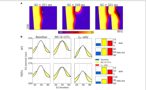 FIGURE 9 | Vulnerability windows to unidirectional conduction block. (A) Examples of propagation following applied S2 stimulus at different time intervals, illustratingconduction block (left), unidirectional conduction (middle) and full conduction (right)