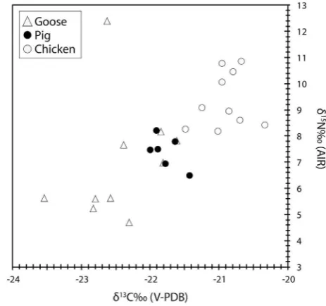 Fig. 4. Plot of d13C values of C16:0 and C18:0 fatty acids from pig, chicken and geese bones against their respective collagen d13C and d15N values.