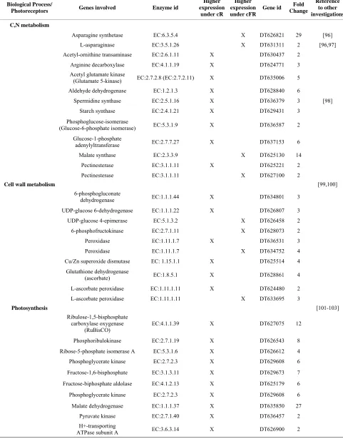 Table 1. Metabolic pathway and fold regulation of the gene expression under cR and cFR light