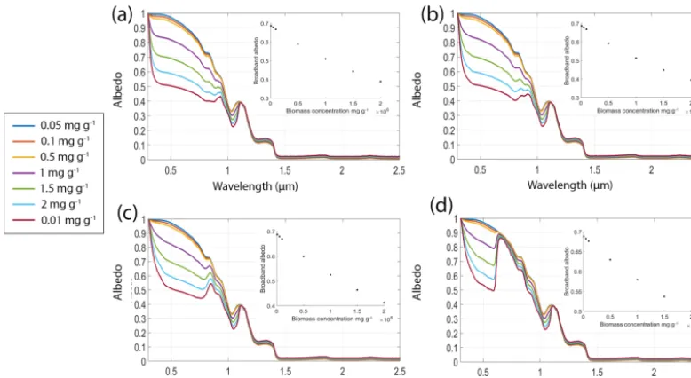 Figure 2. Spectral albedo of snow (grain radius 1500 µm) with equal biomass loading of algal cells with varying pigmentation