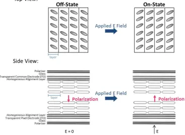 Figure 1.7. A schematic representation of the top and side view of an FLC cell. When chiral moleculesin the Smectic C phase (a tilted, layered orientation) are conﬁned in an FLC cell with homogenousalignment, they exhibit a spontaneous polarization