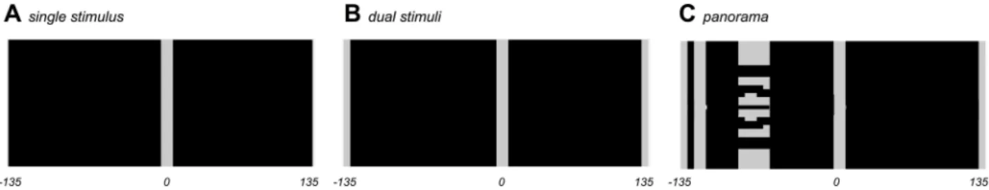 Fig 3. Stimuli for the model. A Single stimulus. B Dual stimuli. C Panorama of stimuli