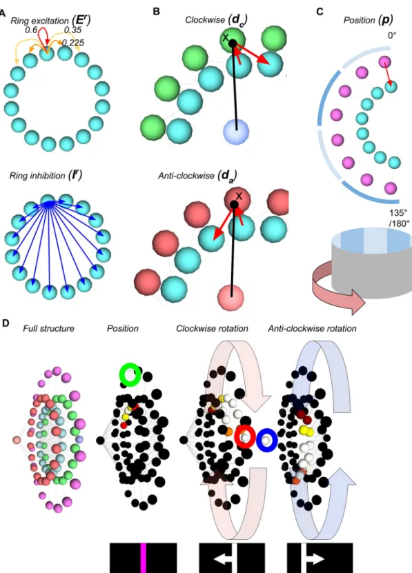 Fig 2. The ring attractor circuit. The components are as follows: Cyan: ring attractor neurons; Green: clockwise