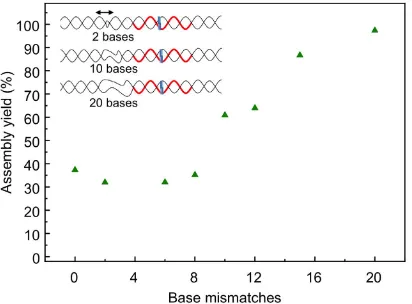 Figure 5. Yield of RecA-mediated sequence-specific assembly onto dsDNA scaffolds containing 0, 2, 6, 8, 10, 12, 15 and 20 basepair mismatches, each centered 10 bp away from the patterning site