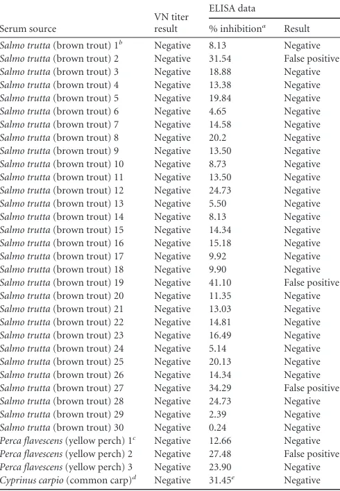 TABLE 1 Virus neutralization and blocking ELISA results for VHS-negative group