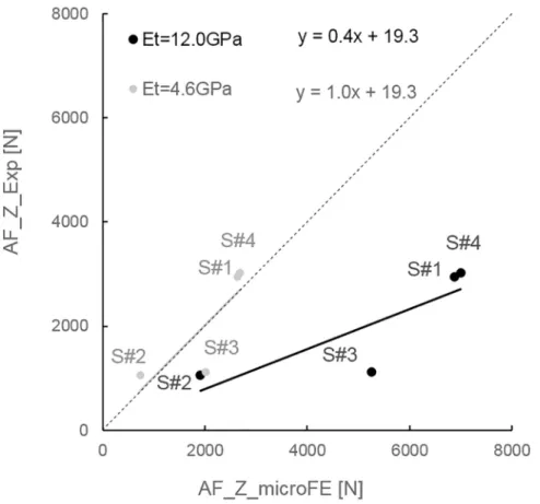 Fig 5. Relationship between numerical (AF_Z_microFE) and experimental (AF_Z_Exp) measurements of axial force for each specimen