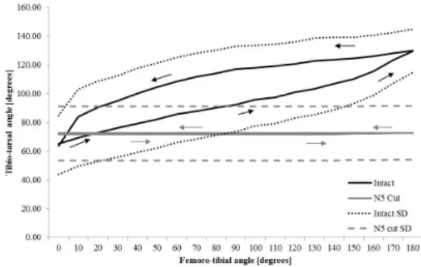 Figure 1. The average tarsal response to movement of the 
