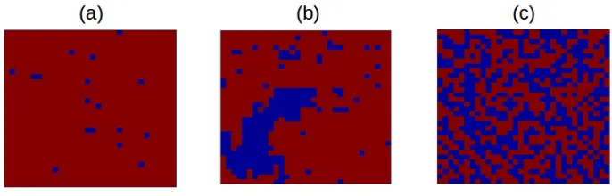 Figure 2.6: Representation of the equilibrium spin conﬁguration for (a) T < Tc, (b) T = Tc and