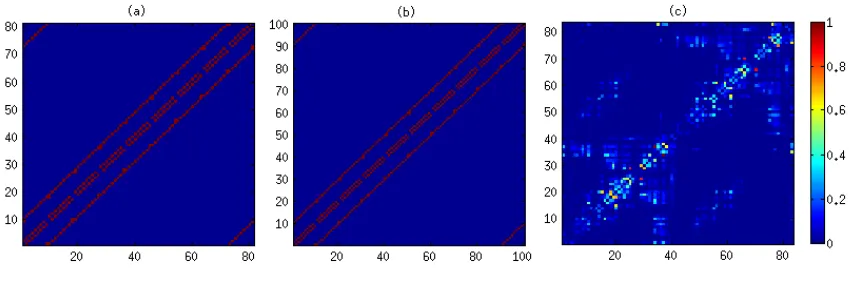 Figure 3.1: Connectivity matrices used for the simulations of the classical Ising model (a) 9 ×